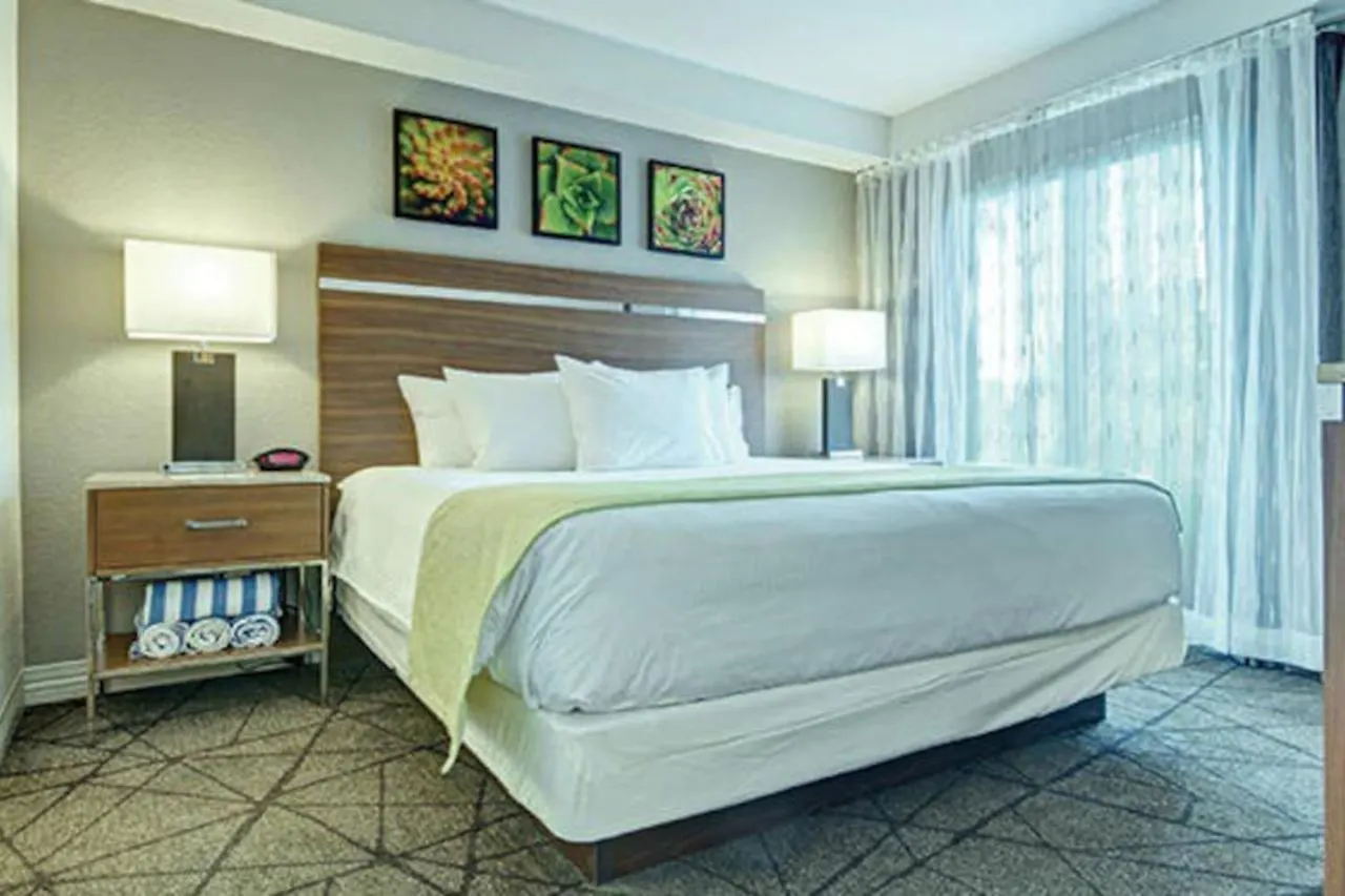 Beautiful Hotel In Desert Rose Resort - 1Bd Sleeps Las Vegas USA